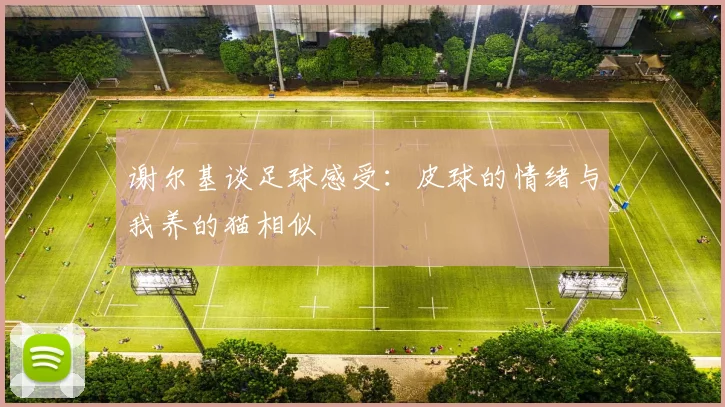 谢尔基谈足球感受：皮球的情绪与我养的猫相似