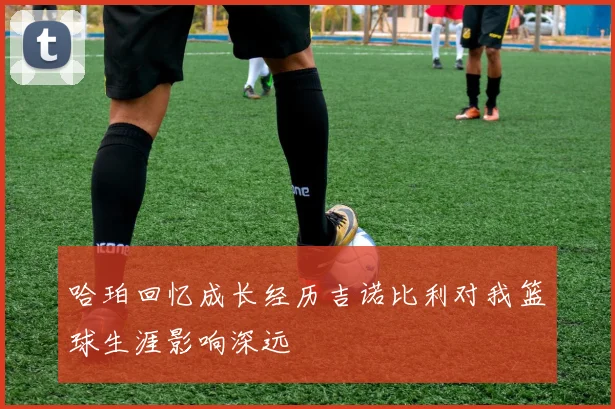 哈珀回忆成长经历吉诺比利对我篮球生涯影响深远